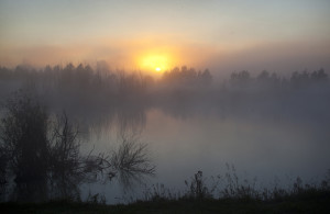 Low Light Competition Winner Announced 